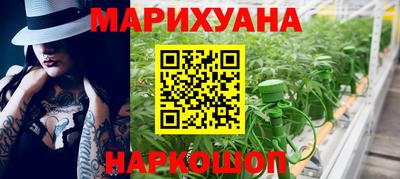 крисы Анжеро-Судженск